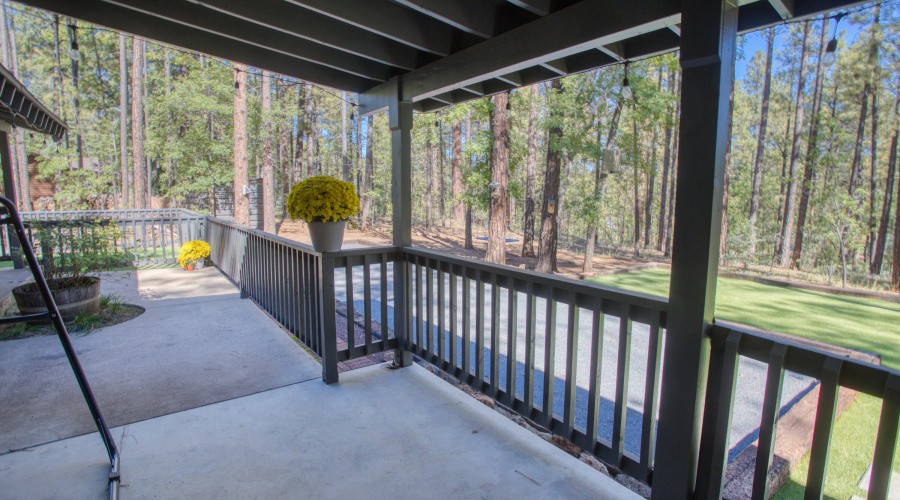 Paxmanphoto_PAX_5062