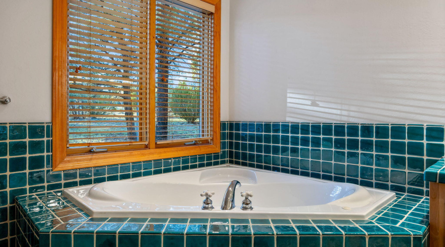 2758JaguarCir-Heber-AZ-19