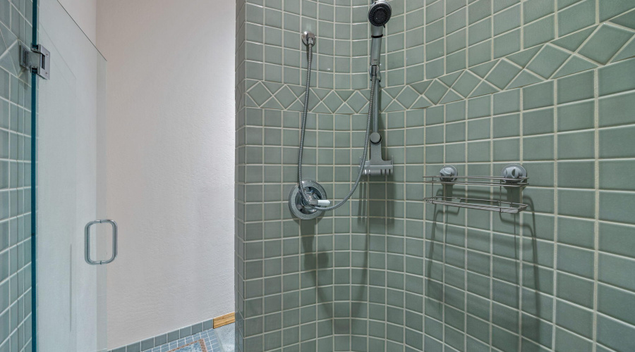 2758JaguarCir-Heber-AZ-24