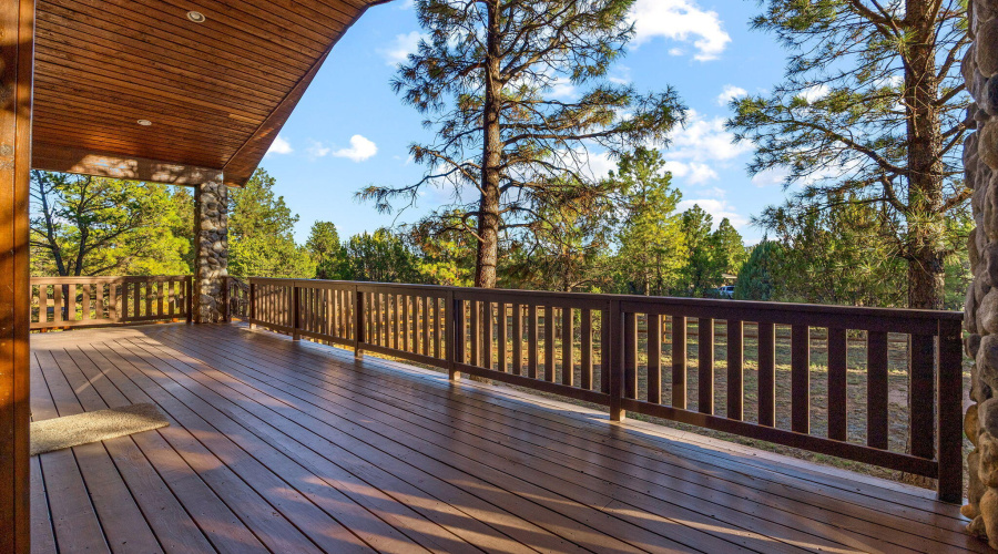 2758JaguarCir-Heber-AZ-29