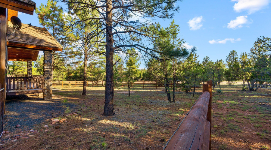 2758JaguarCir-Heber-AZ-33