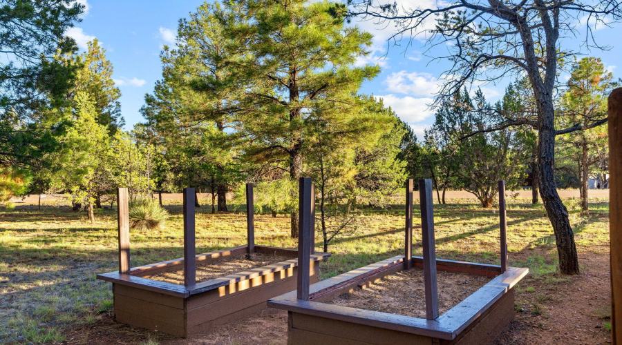 2758JaguarCir-Heber-AZ-34