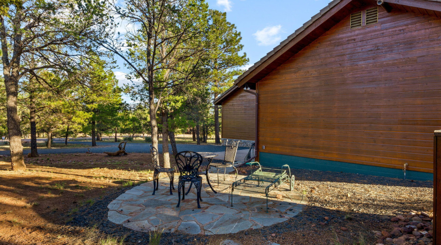 2758JaguarCir-Heber-AZ-35