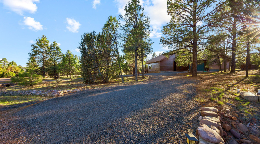 2758JaguarCir-Heber-AZ-36