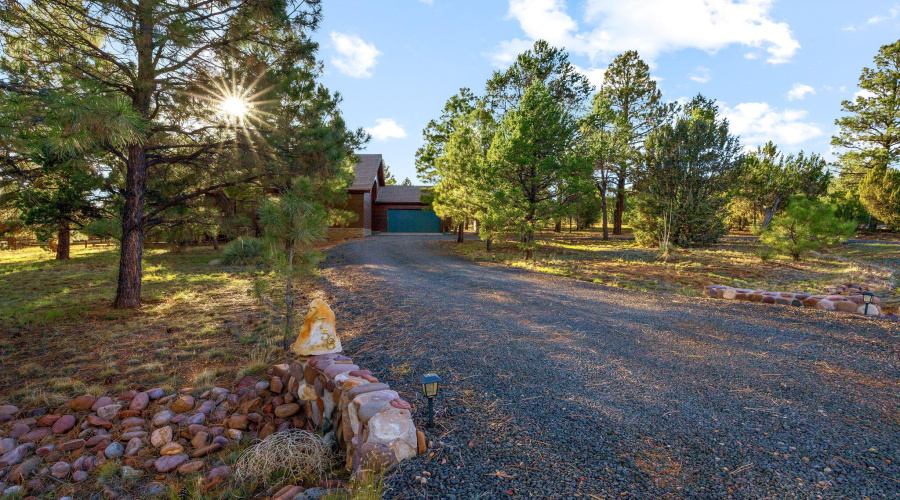 2758JaguarCir-Heber-AZ-37