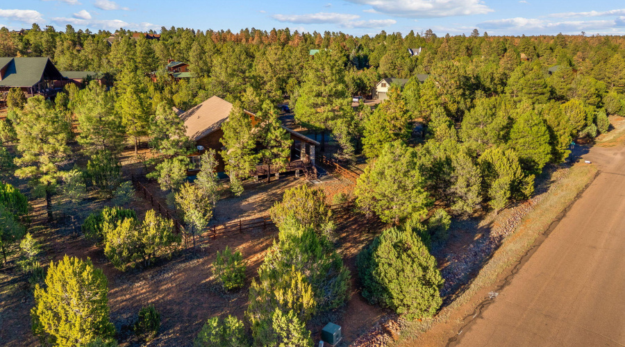 2758JaguarCir-Heber-AZ-38