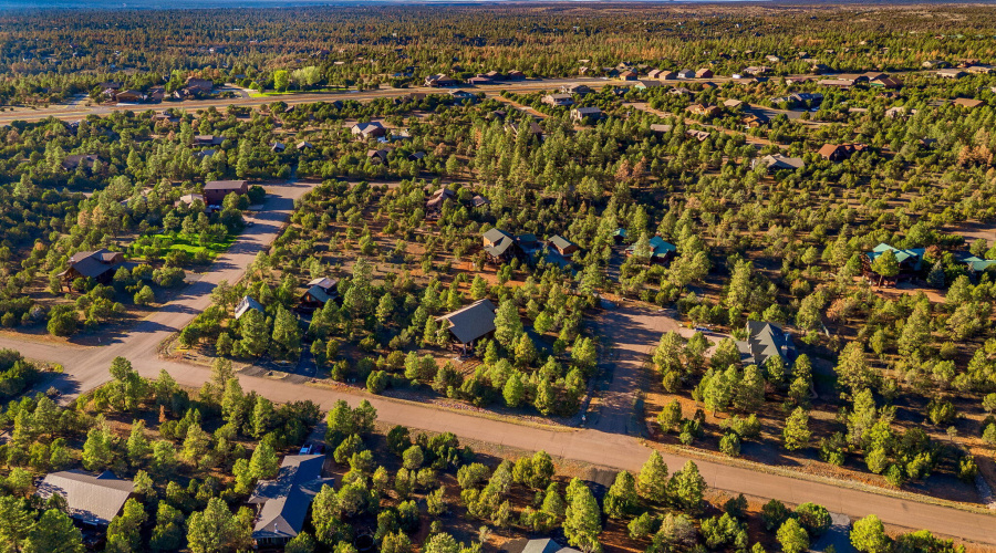 2758JaguarCir-Heber-AZ-41