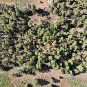 Photo_6553980_DJI_380_jpg_