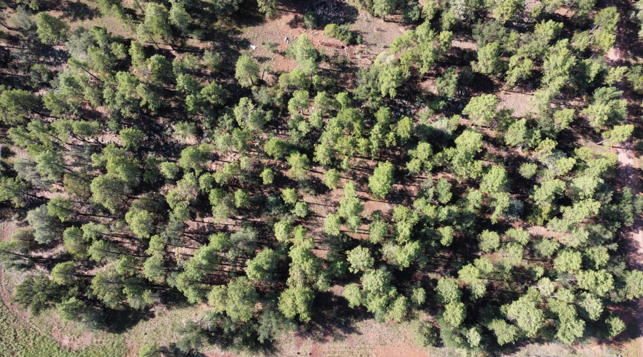 Photo_6553980_DJI_380_jpg_