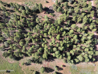 2651 Alisa Lane, Lakeside, Arizona 85929, ,Land,For Sale,Alisa,258172