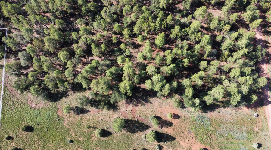 Photo_6553979_DJI_379_jpg_5550592_0_2021