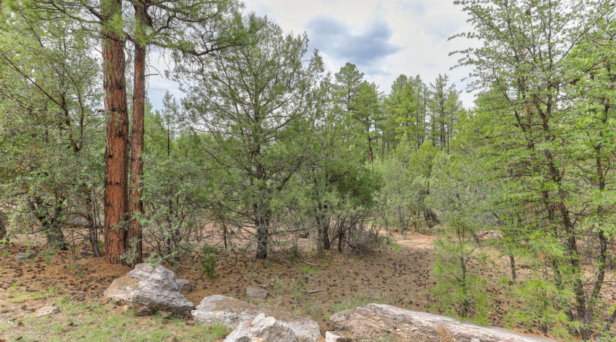 mls-1E0A6844_5_6_7_8 copy