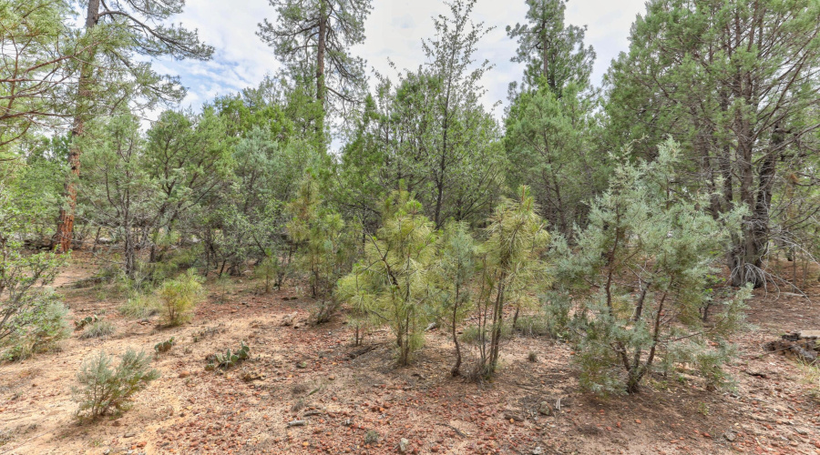 mls-1E0A6849_50_51_52_53 copy