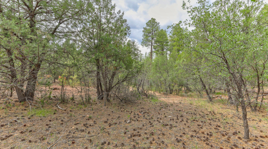 mls-1E0A6854_5_6_7_8 copy 2