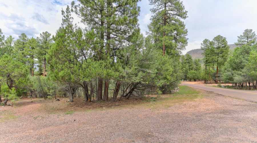 mls-1E0A6859_60_61_62_63 copy