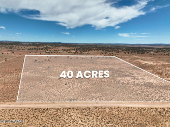 8263 San Carlos Lane, Snowflake, Arizona 85937, ,Land,For Sale,San Carlos,258183