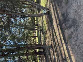 5003 Winter Hawk Court, Lakeside, Arizona 85929, ,Land,For Sale,Winter Hawk,258188