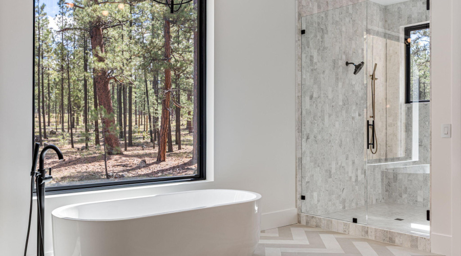Master Bathroom Tub & Shower