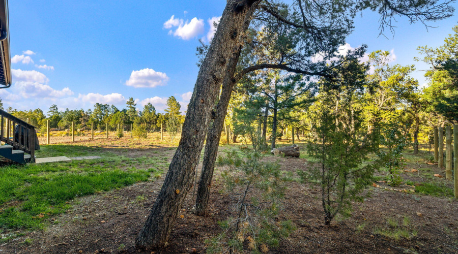 1514ShadeTreeDr-HeberOvergaard-AZ-Exteri