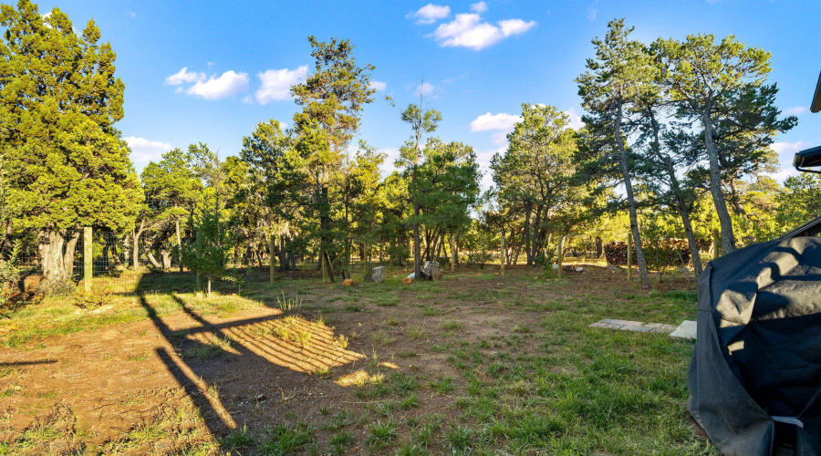 1514ShadeTreeDr-HeberOvergaard-AZ-Exteri