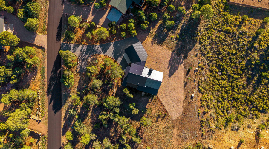 1514ShadeTreeDr-HeberOvergaard-AZ-Exteri