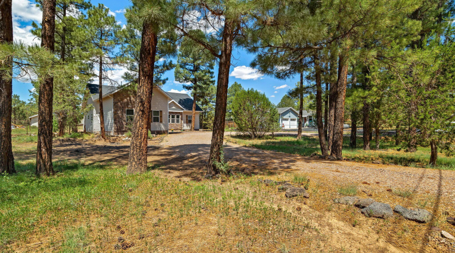 1010ChaparralDr-ShowLow-AZ-3