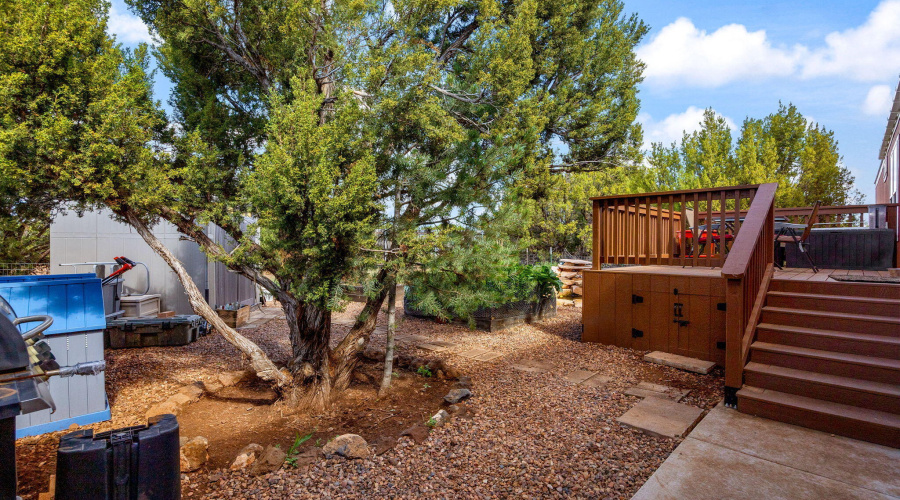 3 N - Back Yard, new porch