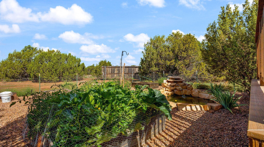 3 n - Back garden, water feature