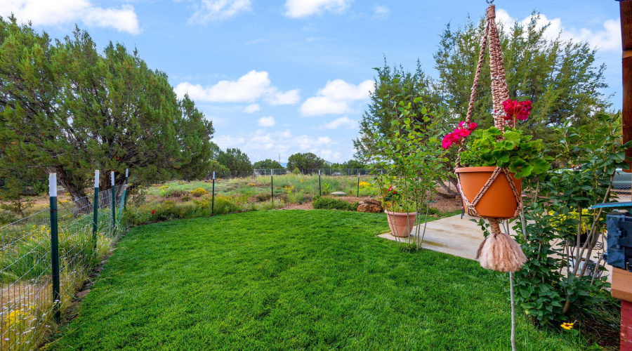 3 N - 1 outside front