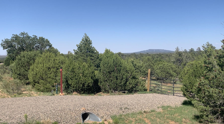 Culvert on Sunset side