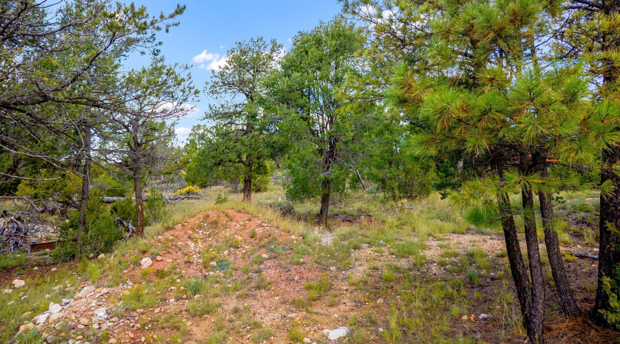 1909EChevelonRd-HeberOvergaard-AZ-15