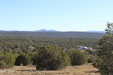 6 County Road 8052, Concho, Arizona 85924, ,Land,For Sale,County Road 8052,258208