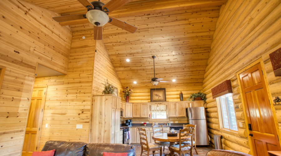 Paxmanphoto_PAX_4968-X4