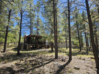 2563 Pine Valley Road, Happy Jack, Arizona 86024, Bedrooms, ,Bathrooms,Residential,For Sale,Pine Valley,92959