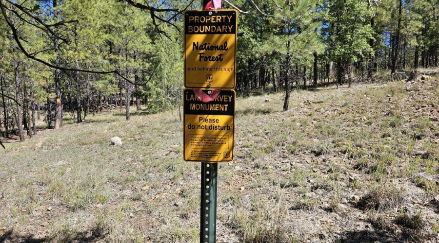 Borders Nat'l Forest