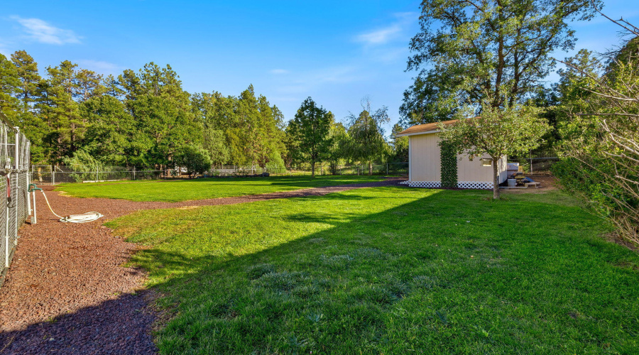 Gorgeous private backyard