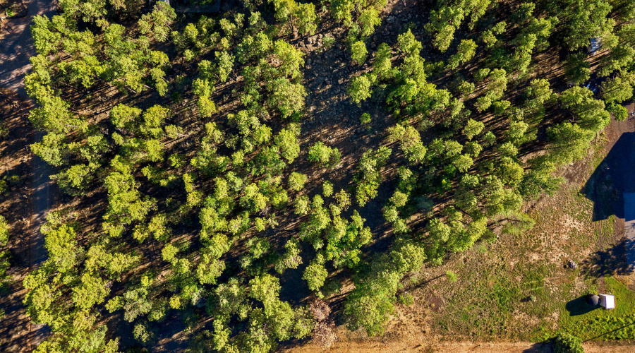 2.55 Acres of Raw Land