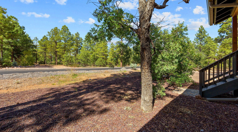 View from Back of Home