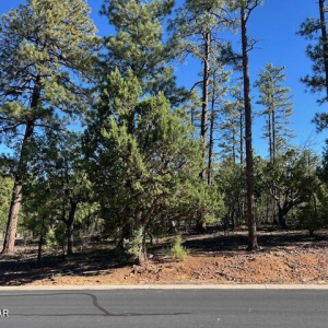 Snow Creek Lot 40
