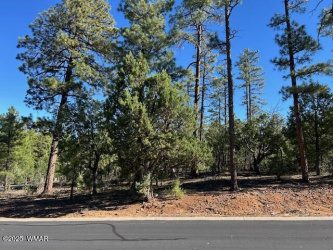 1901 Little Creek Court, Show Low, Arizona 85901, ,Land,For Sale,Little Creek,258216