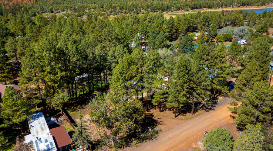 1860N22ndDr-ShowLowAZ-8