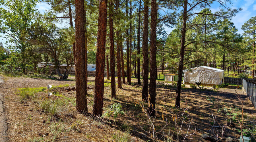 1860N22ndDr-ShowLowAZ-14