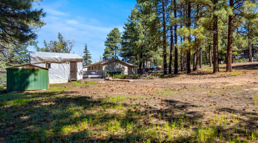 1860N22ndDr-ShowLowAZ-12