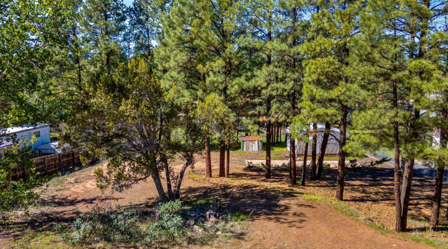 1860N22ndDr-ShowLowAZ-10