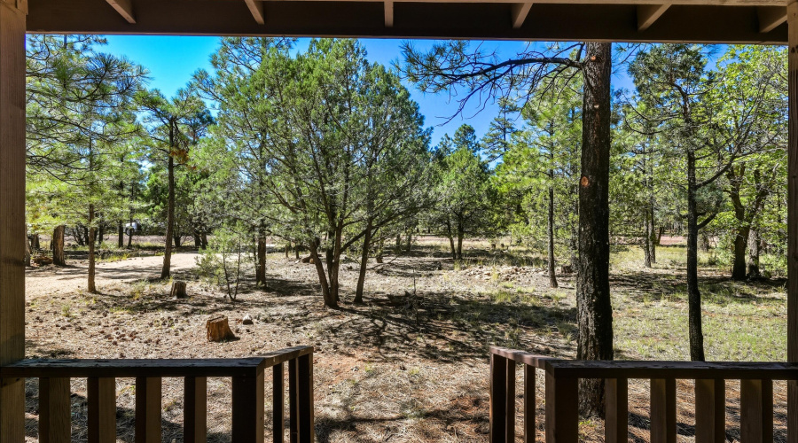 view from front deck