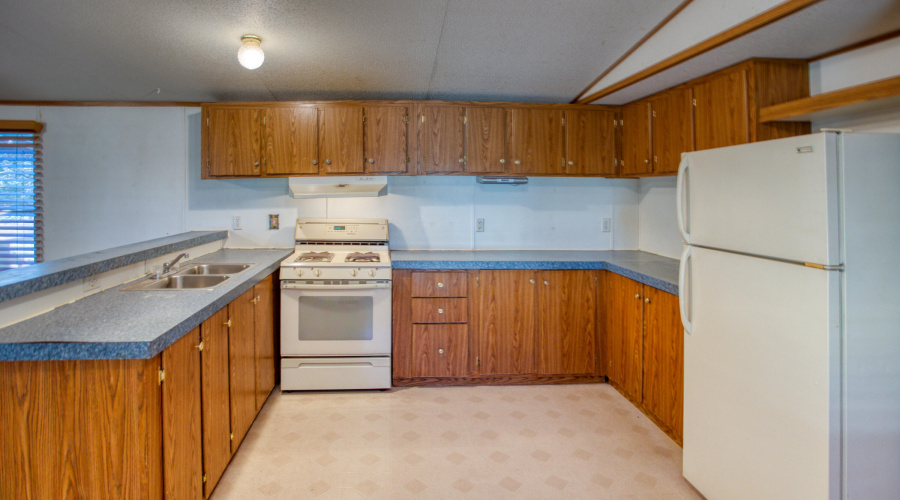 Paxmanphoto_PAX_5201