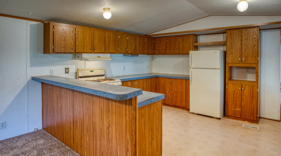 Paxmanphoto_PAX_5203