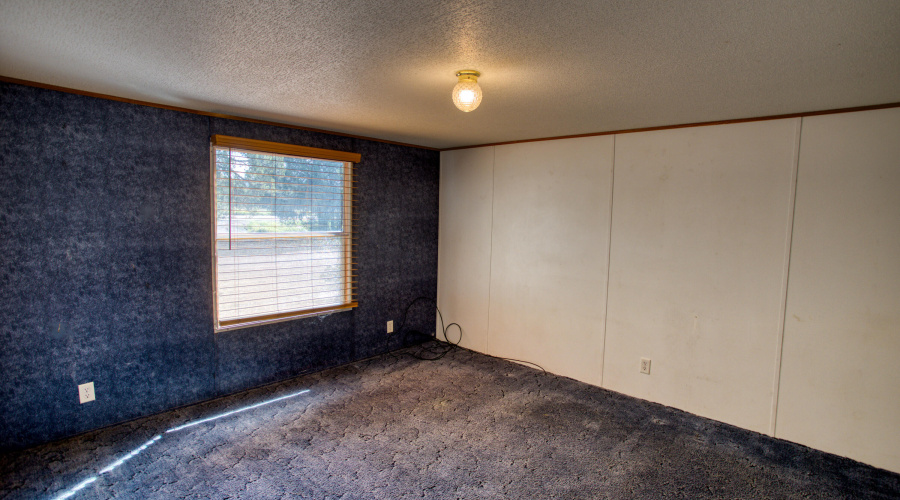 Paxmanphoto_PAX_5179