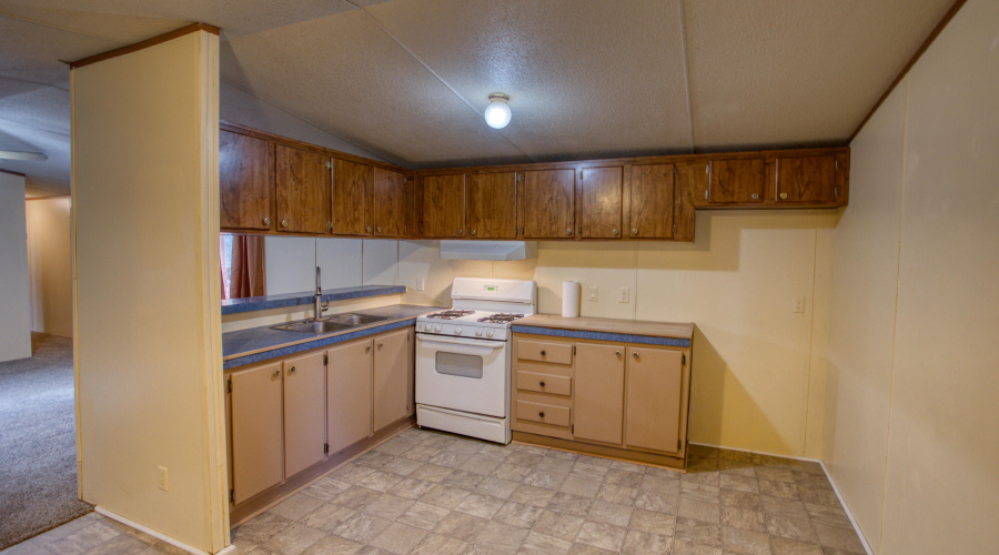 Paxmanphoto_PAX_5254