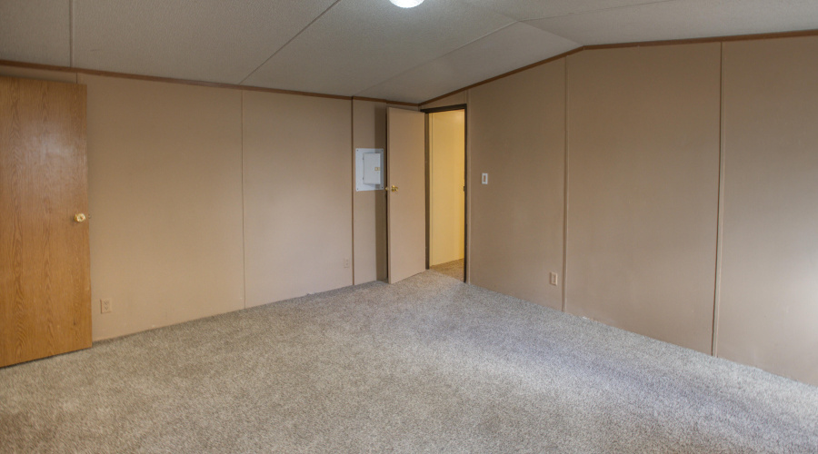 Paxmanphoto_PAX_5231